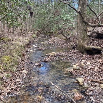Morrow Mountain State Park - Swimming Pools Near Me - Albemarle, North Carolina