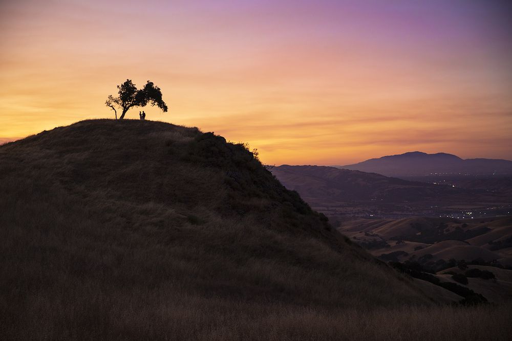 Mission Peak Winery Logo