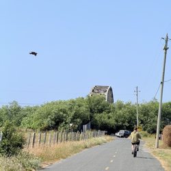 Johnny's Marina & R V Park - Bike trails