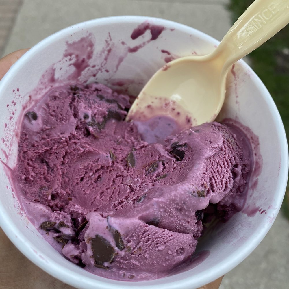 One scoop of black raspberry chocolate chip