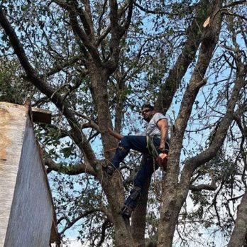 AR Tree Service - Tree Services Near Me AR Tree Service - Tree Services Near Me