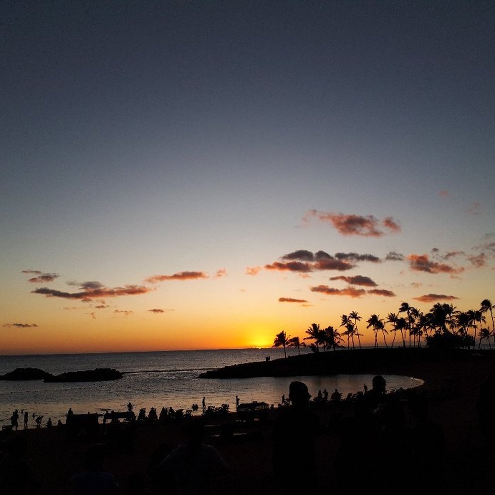Longboards - beautiful view of the ocean is what you pay for - Bars Near Me - Kapolei, Hawaii Longboards - beautiful view of the ocean is what you pay for - Bars Near Me - Kapolei, Hawaii