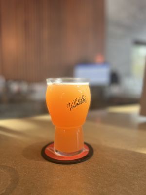 Validation Ale by null