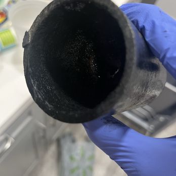 Elite Rooter - Updated December 2025 - 57 Photos - 132 Reviews - 4893 ...