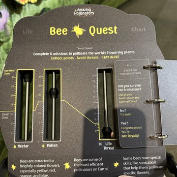 Western Heritage Museum - I survived & became "bee royalty." From Amazing Pollinators exhibit (2/8/2023) - Museums Near Me - Hobbs, New Mexico Western Heritage Museum - I survived & became "bee royalty." From Amazing Pollinators exhibit (2/8/2023) - Museums Near Me - Hobbs, New Mexico