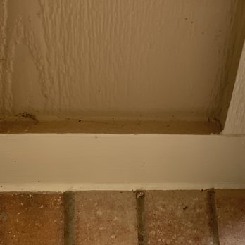 Optimized Painting - I needed 5 boards replaced becasue the bottom was rotten. The crew changed out many good boards and left others so now they do not match. - Painters Near Me - Addison, Texas