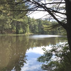 Naugatuck State Forest