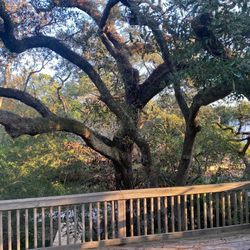 Tidelife Vacation Rentals - Master suite deck