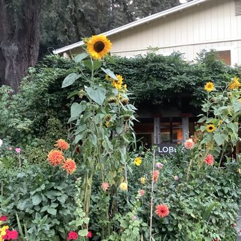 Fern Grove Cottages - Hotels Near Me - Guerneville, California Fern Grove Cottages - Hotels Near Me - Guerneville, California