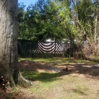 Above and Beyond Tree Services - After Pic 1 of Fallen Tree Clean Up - Tree Services Near Me - Jacksonville, Florida