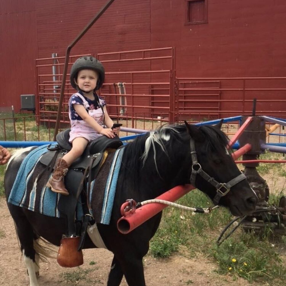 Terry Bison Ranch Resort - Pony ride - Venues & Event Spaces Near Me - Cheyenne, Wyoming Terry Bison Ranch Resort - Pony ride - Venues & Event Spaces Near Me - Cheyenne, Wyoming