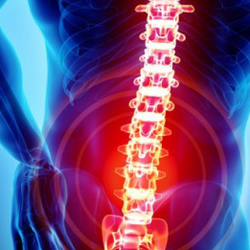 Norris Chiropractic