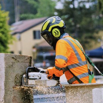 Personalized Tree Service - Action shot- Removing a diseased White Alder. - Tree Services Near Me Personalized Tree Service - Action shot- Removing a diseased White Alder. - Tree Services Near Me