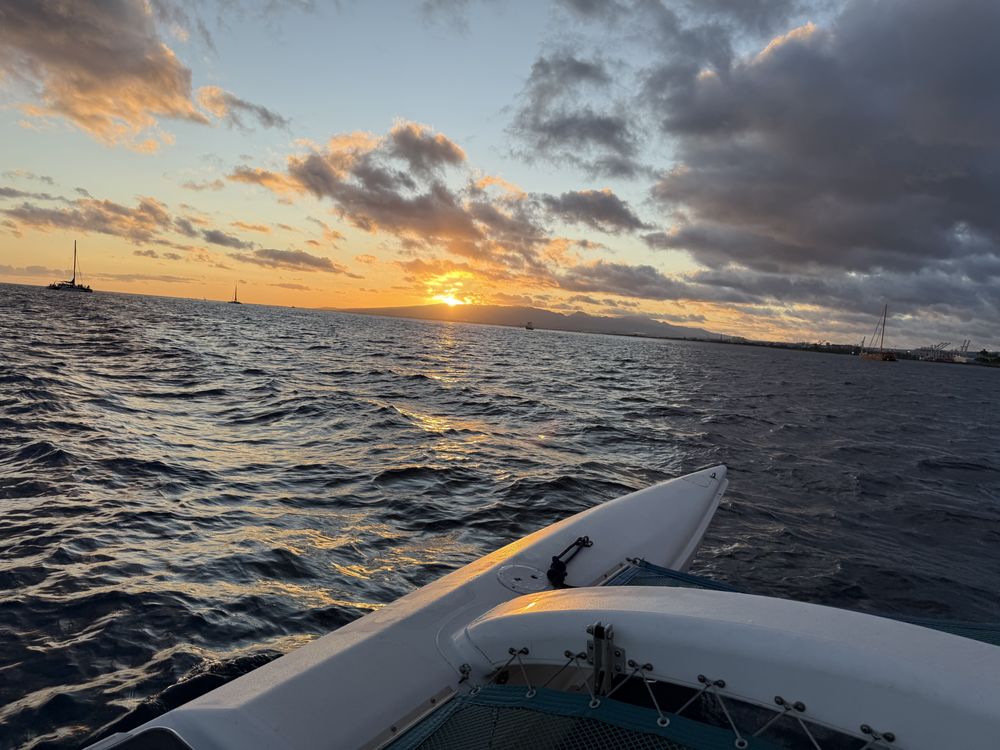 Sail Honu Hawaii Logo