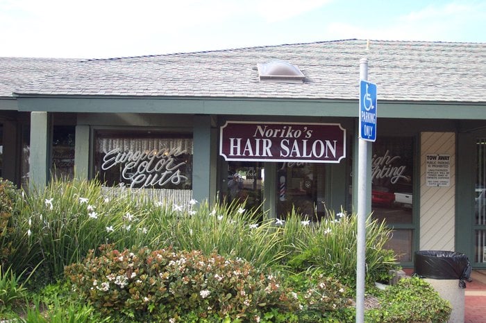 Noriko's Salon Logo