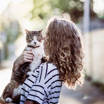 All About Animals - Veterinarians Near Me - Flatwoods, Kentucky All About Animals - Veterinarians Near Me - Flatwoods, Kentucky