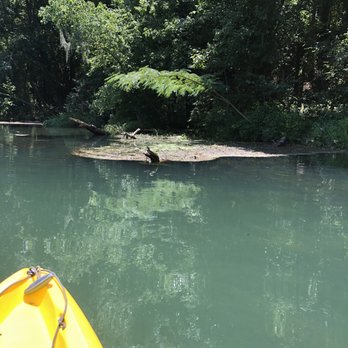Savannah Rapids Kayak Rental - Rafting/Kayaking Near Me - Augusta, Georgia
