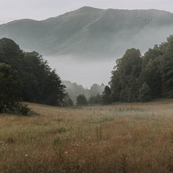 True West Campground, Stables and Mercantile - Big South Forks covers Miles of trails!! Many to trailer to as well so that you don't miss a view!
