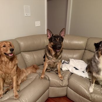 Paw-Rific Care - Pet Sitting Near Me Paw-Rific Care - Pet Sitting Near Me