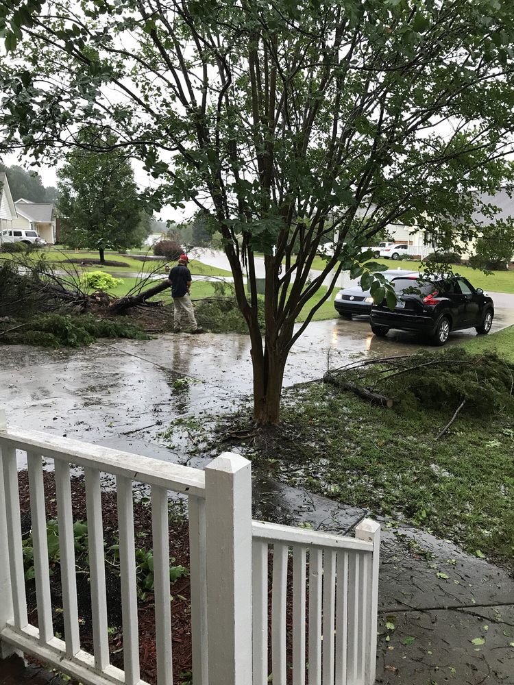 Hall American Property Pros - tree service in Fuquay Varina, NC