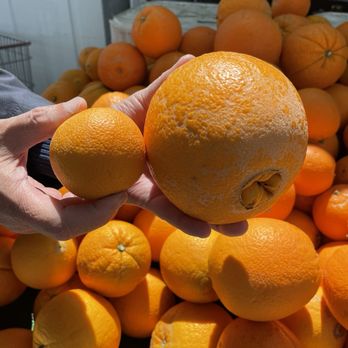 Ramos Country Corner - Public Markets Near Me - Manteca, California