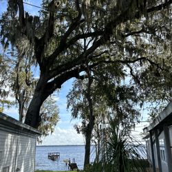 A Family Tree & Landscaping
