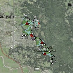 Mckinleyville Community Forest