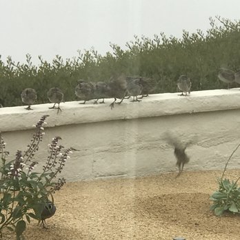 Nature's Gardeners - Landscaping Near Me Nature's Gardeners - Landscaping Near Me