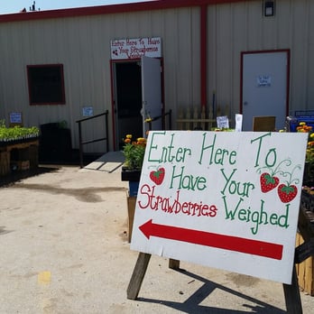 Froberg's Farm - Pick Your Own Farms Near Me - Alvin, Texas Froberg's Farm - Pick Your Own Farms Near Me - Alvin, Texas