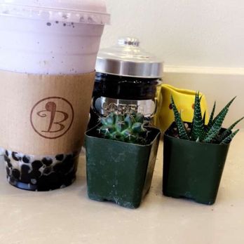 Bubble U - Taro Smoothie with boba - Coffee & Tea Near Me - Los Angeles, California Bubble U - Taro Smoothie with boba - Coffee & Tea Near Me - Los Angeles, California
