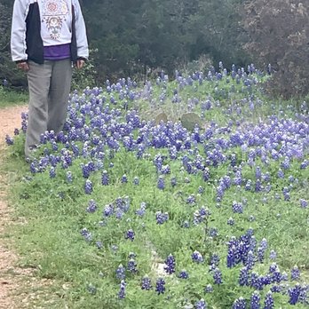 Western Oaks Karst Preserve - Hiking by the Bluebonnets ... - Hiking Near Me - Austin, Texas Western Oaks Karst Preserve - Hiking by the Bluebonnets ... - Hiking Near Me - Austin, Texas