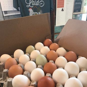 Holbrook Farm - Eggs laid daily - Fruits & Veggies Near Me - Bethel, Connecticut Holbrook Farm - Eggs laid daily - Fruits & Veggies Near Me - Bethel, Connecticut