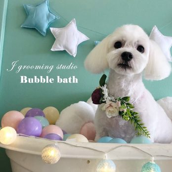J Grooming Studio - Kenzo - Pet Groomers Near Me - Ewa Beach, Hawaii