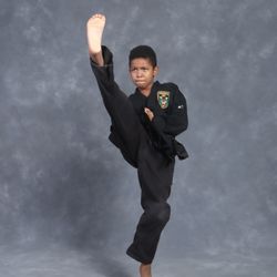 Vizzio's Institute of Martial Arts
