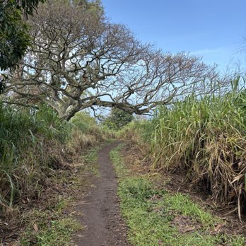 Captain Cook Monument - Trail - Landmarks & Historical Buildings Near Me - Captain Cook, Hawaii
