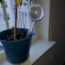 Watering globe