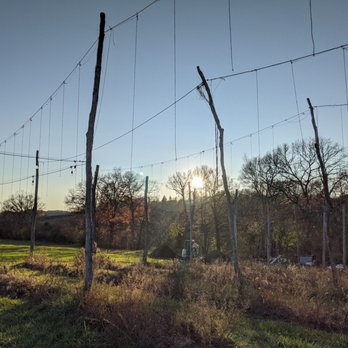 Long Lot Farm Brewery - Hop field - Breweries Near Me - Chester, New York Long Lot Farm Brewery - Hop field - Breweries Near Me - Chester, New York