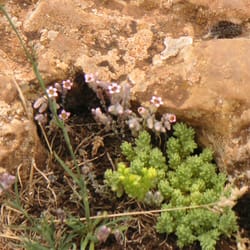 Naturpark Torcal de Antequera