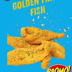 Foodyz Amazing Taste