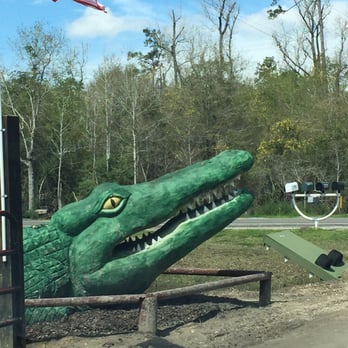 Gator Country - Gator at the front gate greets visitors. - Zoos Near Me - Beaumont, Texas