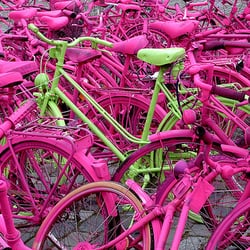 Doctor Edwards Bike Surgery - We even fix pink bikes!