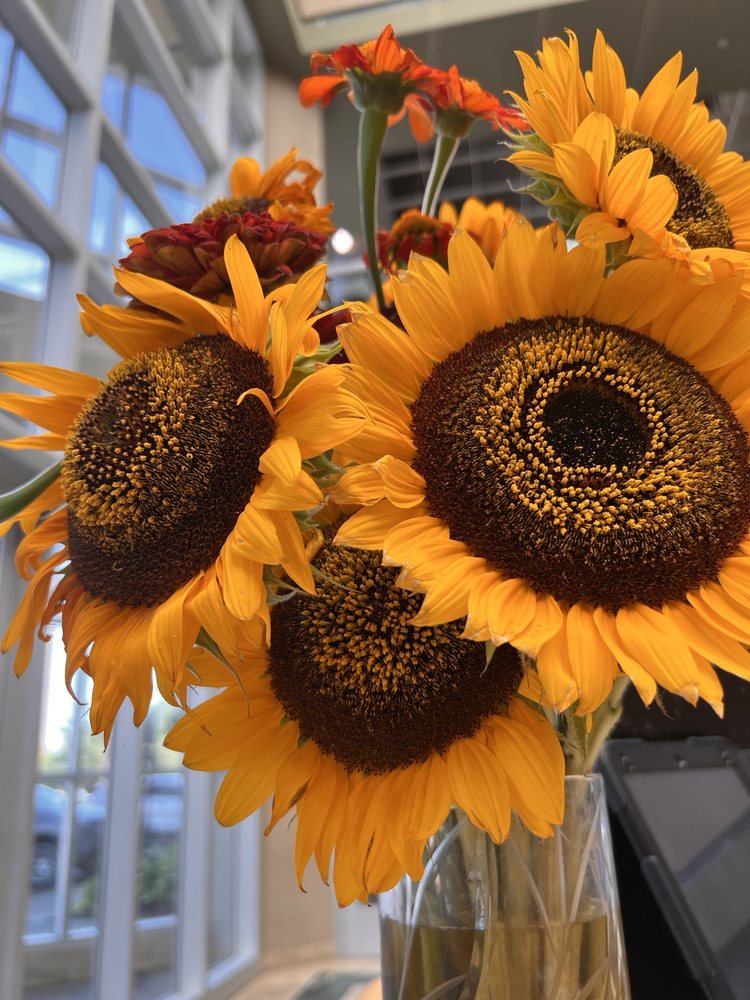 LIFE TIME 30 Photos & 13 Reviews 11989 Champlin Dr, Champlin