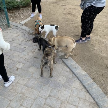 CJ Dog Park - Dog Parks Near Me - Las Vegas, Nevada CJ Dog Park - Dog Parks Near Me - Las Vegas, Nevada