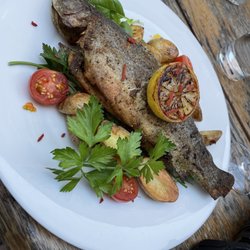 Gerberhaus - Trout. Simple and....sehr gut !