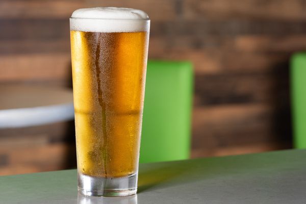 The Toasted Yolk Cafe by null