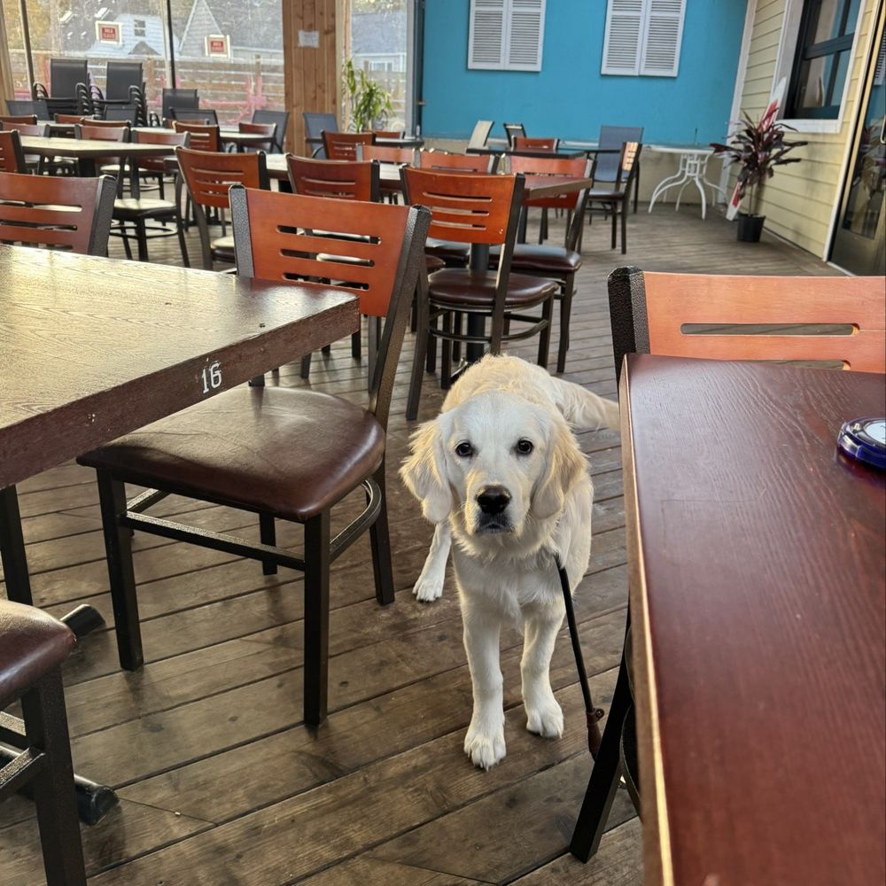 Bongos - The dog-friendly, enclosed patio. - Cuban Near Me - Seattle, Washington Bongos - The dog-friendly, enclosed patio. - Cuban Near Me - Seattle, Washington