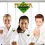 Photo of Premier Martial Arts
