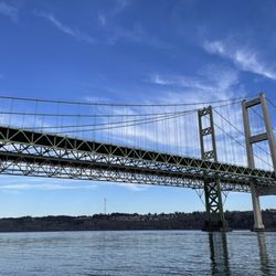 Narrows Park - Bridge