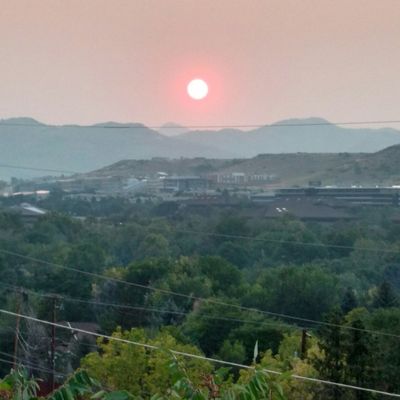 Don's Club Tavern by null