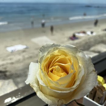 Splashes Restaurant - Bottom patio view - New American Near Me - Laguna Beach, California Splashes Restaurant - Bottom patio view - New American Near Me - Laguna Beach, California
